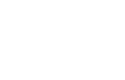 Provider 41